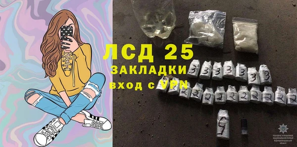 PSILOCYBIN Слюдянка