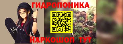 apvp Заводоуковск
