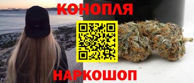 apvp Заводоуковск