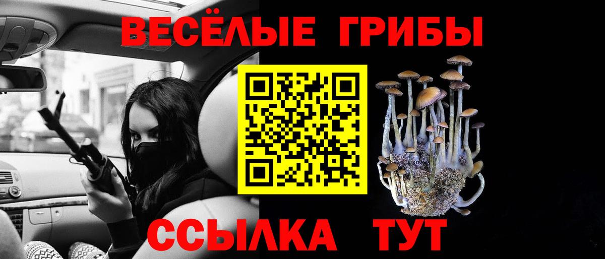Галлюциногенные грибы GOLDEN TEACHER  Вход с VPN  Туймазы  цены   Псилоцибиновые грибы мицелий 